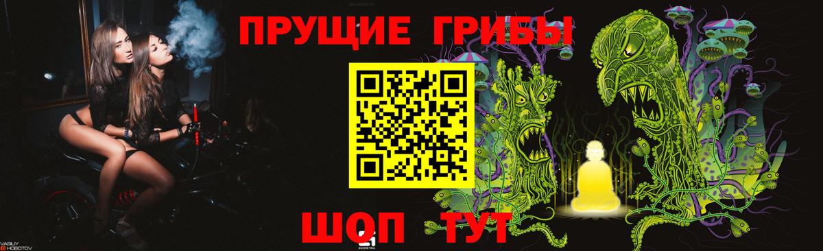 Галлюциногенные грибы MAGIC MUSHROOMS  купить наркотик  Галлюциногенные грибы MAGIC MUSHROOMS  Кудрово  Вход с VPN 